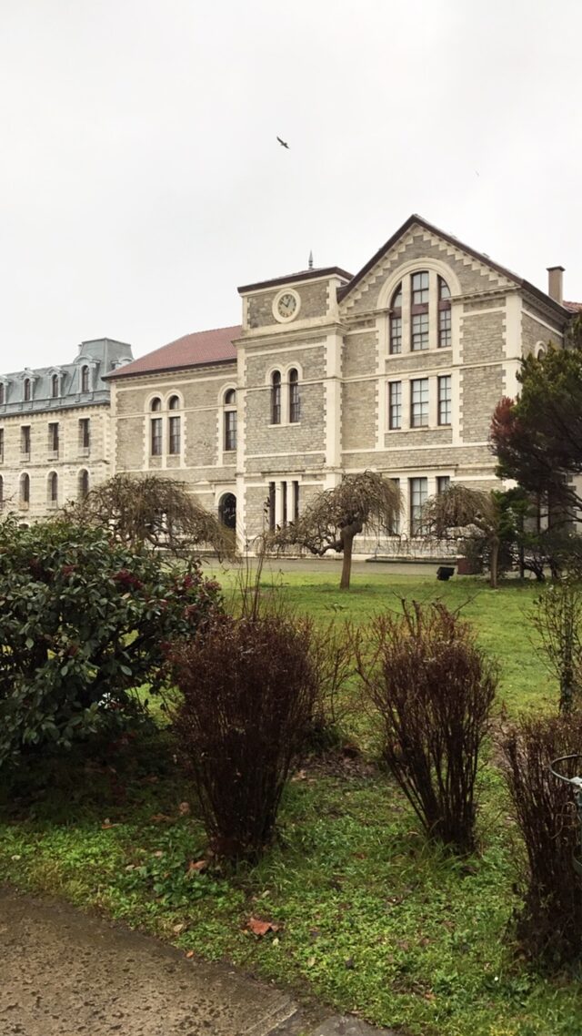 Boğaziçi Üniversitesi